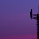 Illustration for article titled How Much Does a Wiretap Go For These Days?